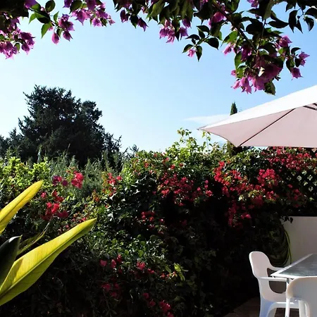 Townhouse In Paradise Gardens Apartment *